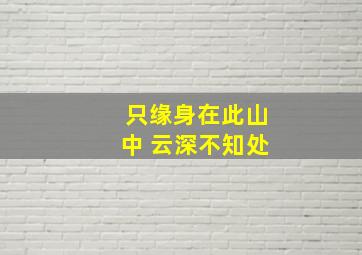 只缘身在此山中 云深不知处